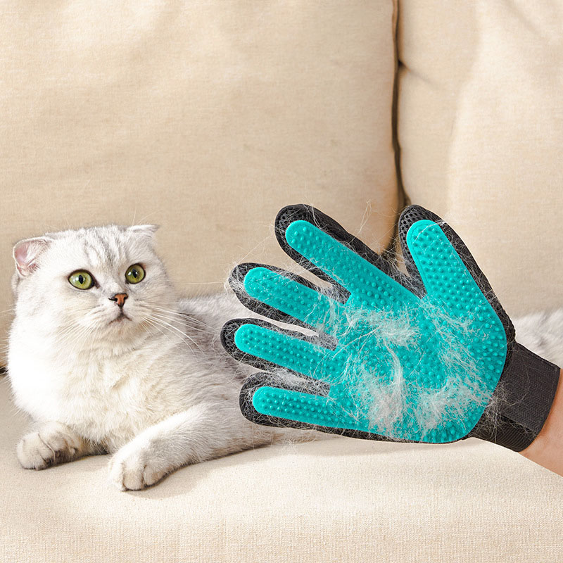 Sarung Tangan Perawatan Hewan  - Rubber Glove Cleaning ulasan dan harga