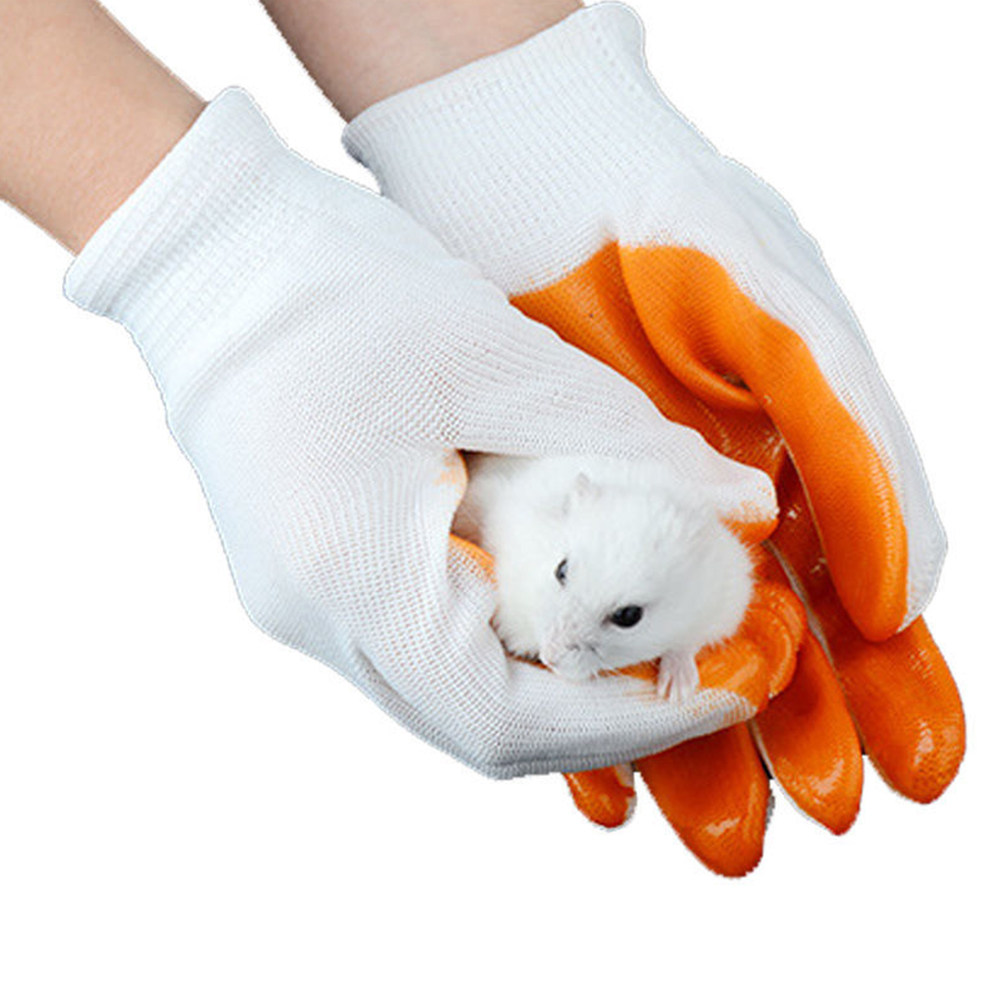 1Pair Animal Protection Gloves - Cut Resistant Glove ulasan dan harga