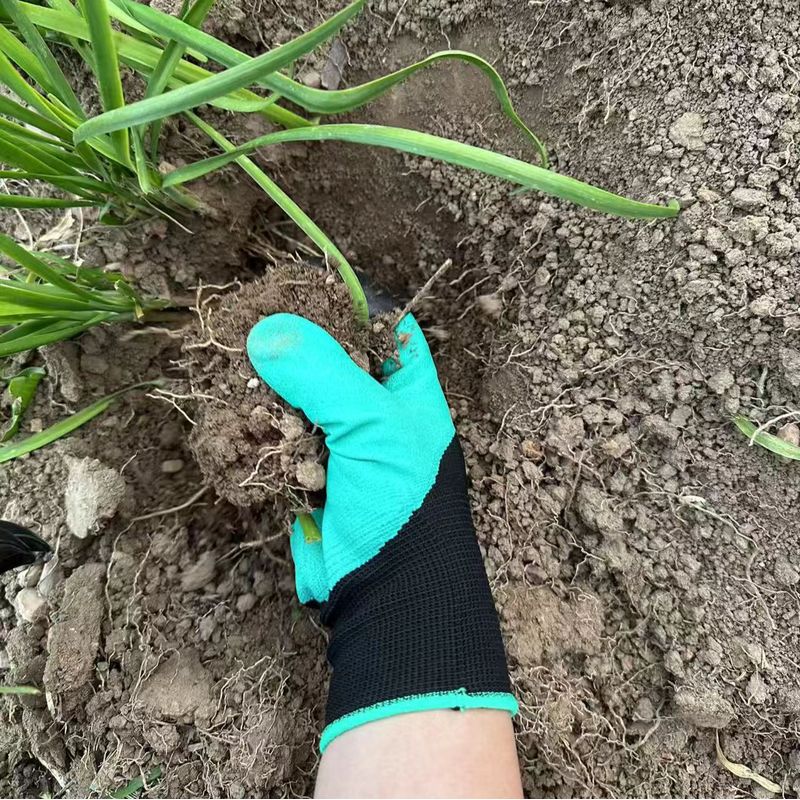 Sarung Tangan Berkebun dengan  - Gardening Glove Waterproof ulasan dan harga